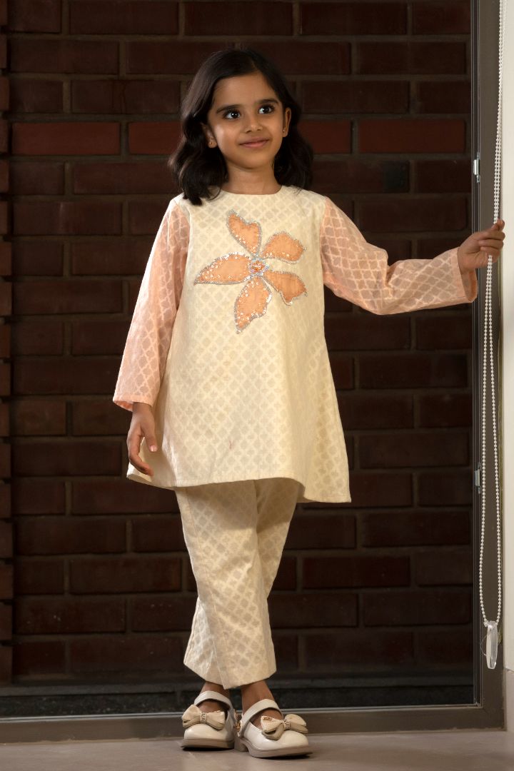 Girls Embroidered Patch Kurta Set