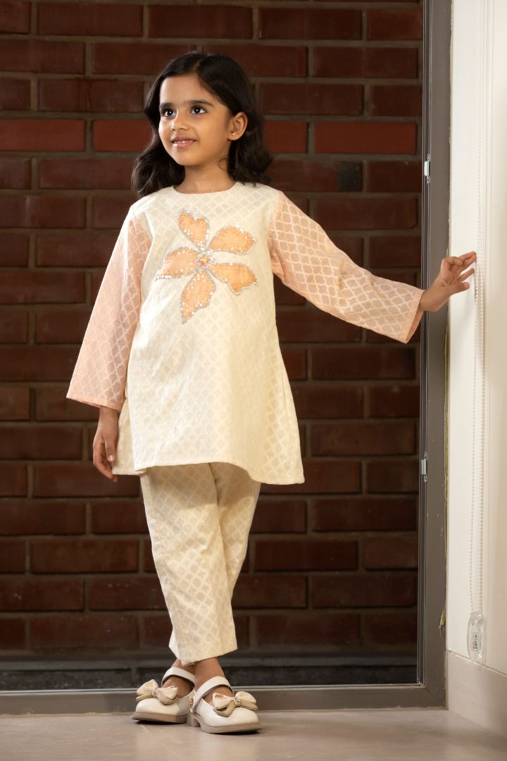 Girls Embroidered Patch Kurta Set