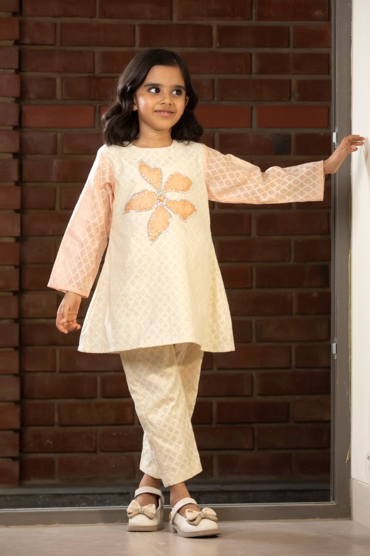 Girls Embroidered Patch Kurta Set