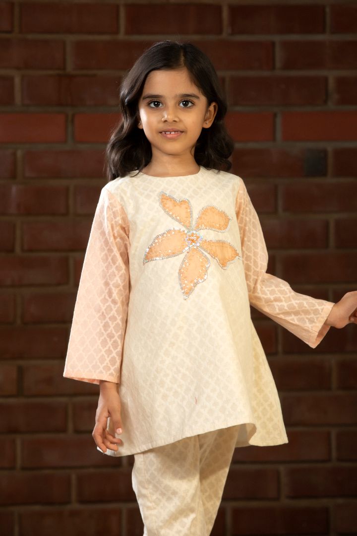 Girls Embroidered Patch Kurta Set