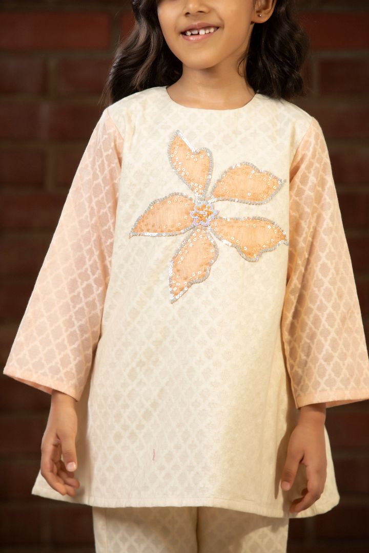 Girls Embroidered Patch Kurta Set