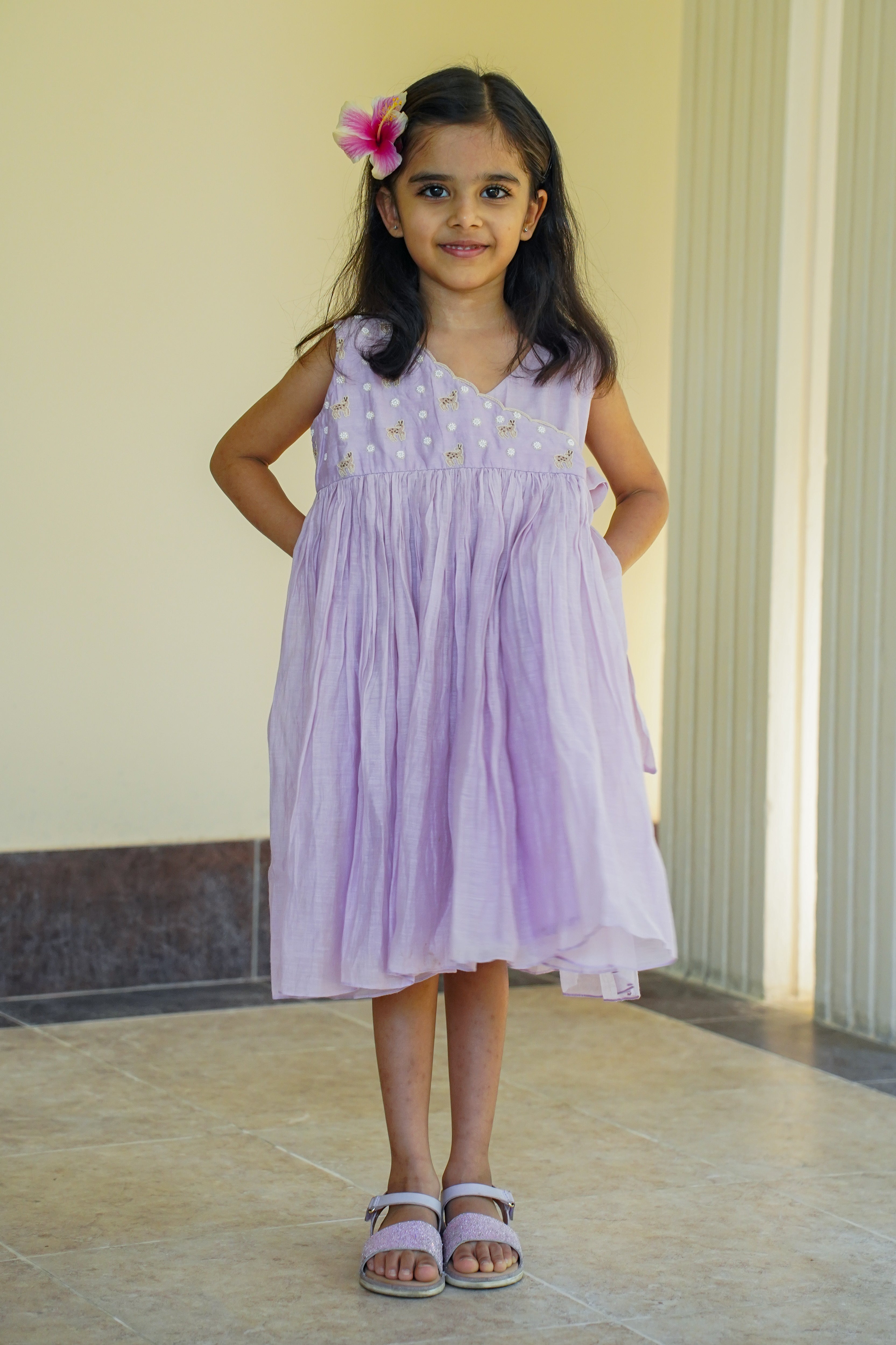 Purple Embroidered Aangrakha Dress