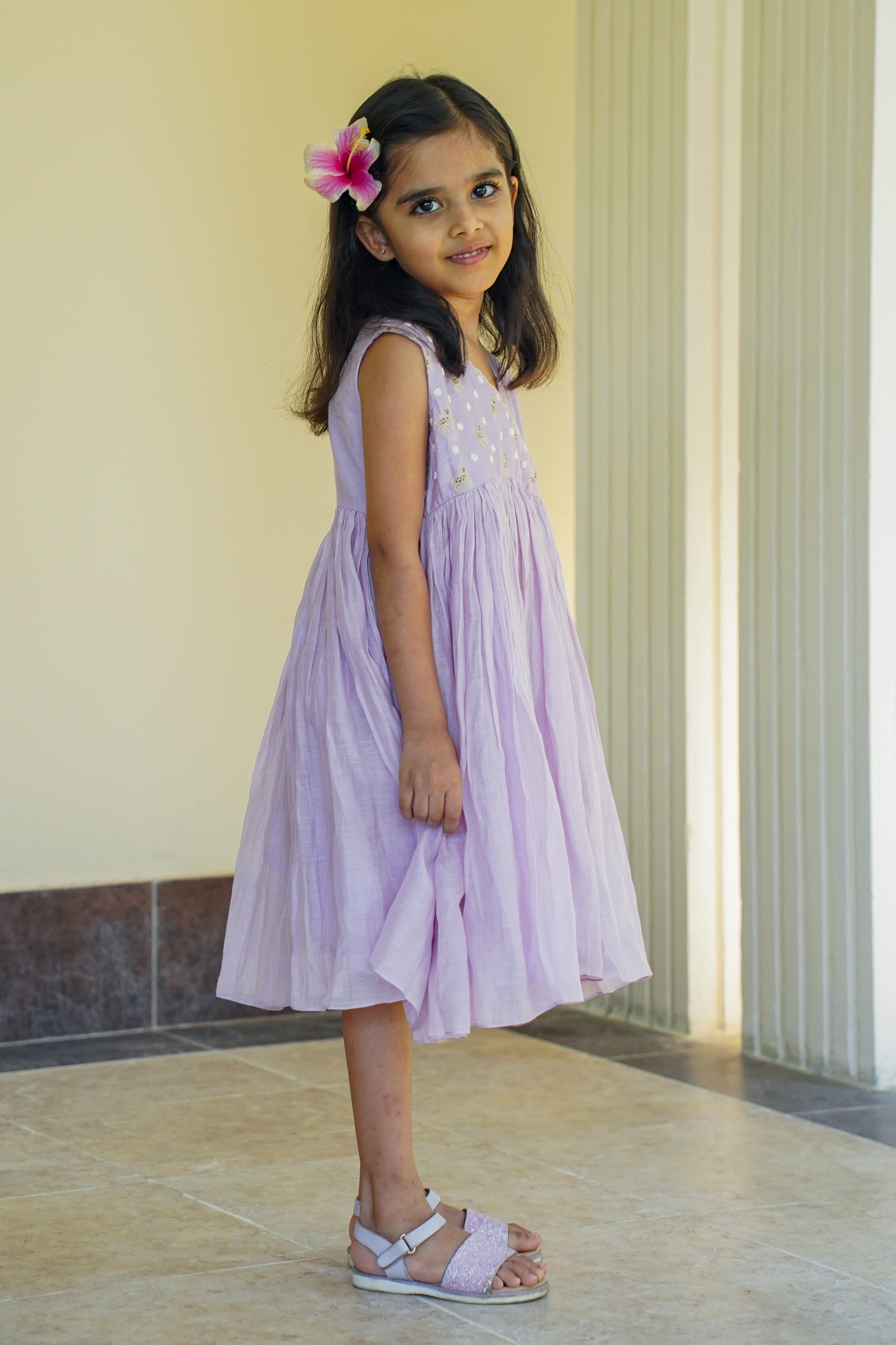 Purple Embroidered Aangrakha Dress