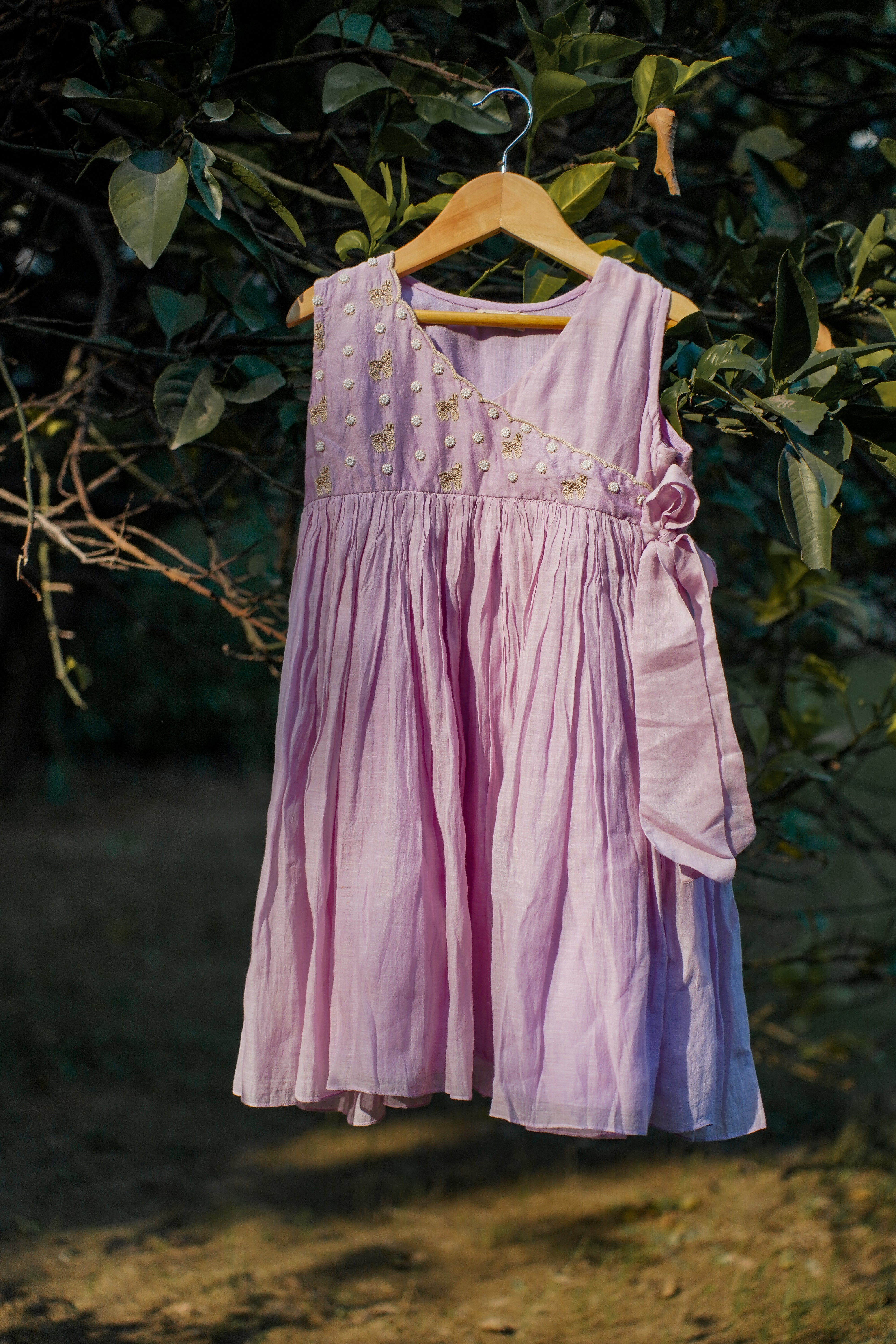 Purple Embroidered Aangrakha Dress