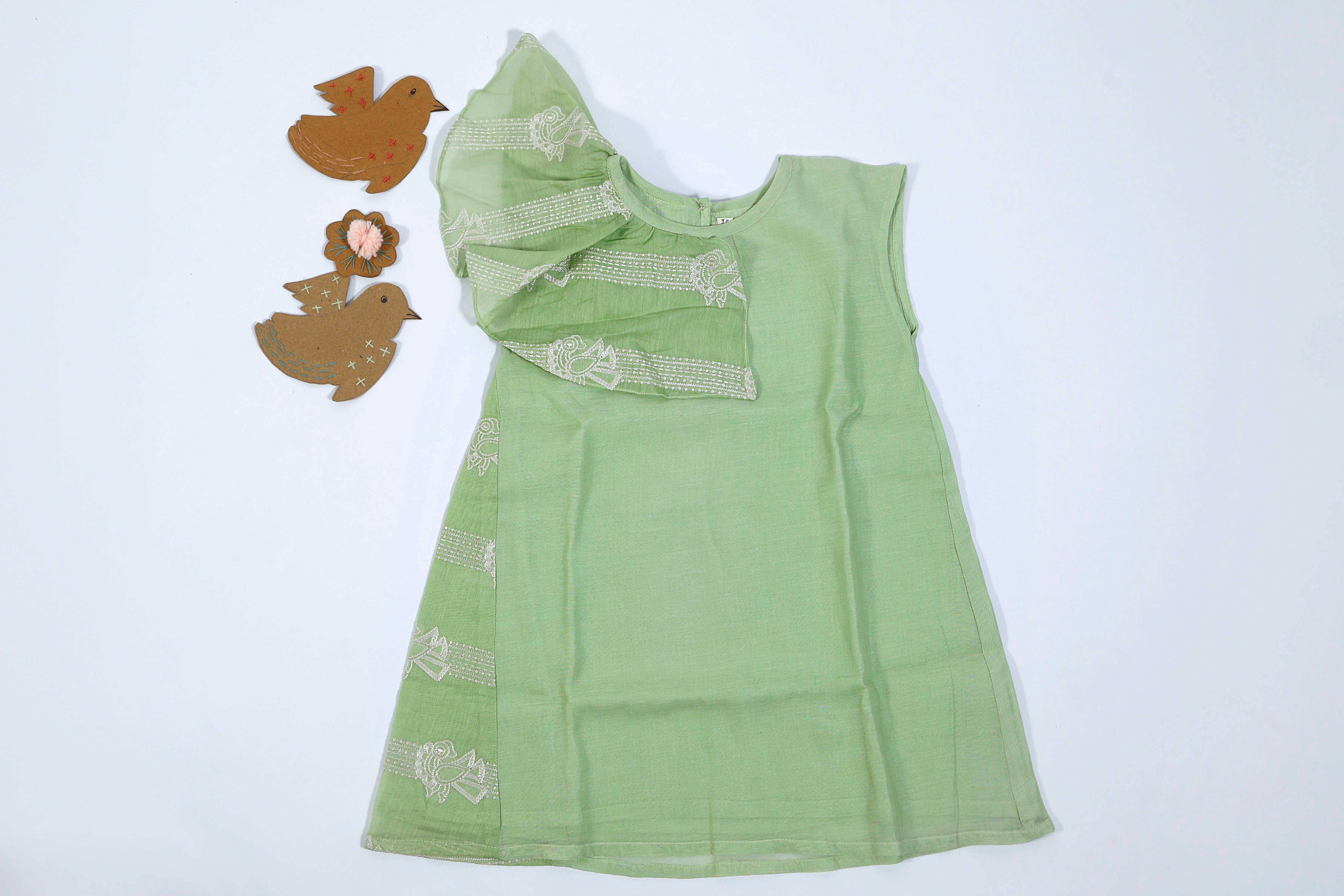 Sing bird Dress for Girls